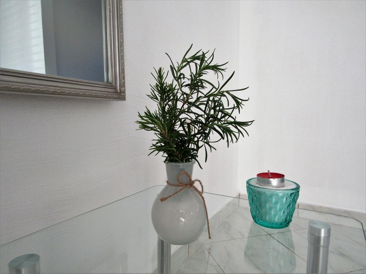 Apartments Kokor Водице Екстер'єр фото